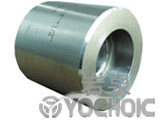 Reducting Insert
