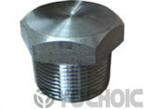 Hexagonal Head Plug